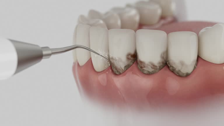 Reliable Dental contractor in Bagdad, FL by Dentist Open Now